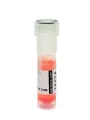 Anti-Arabinogalactan-Protein, AGP (monoclonal, clone JIM4) - image 1